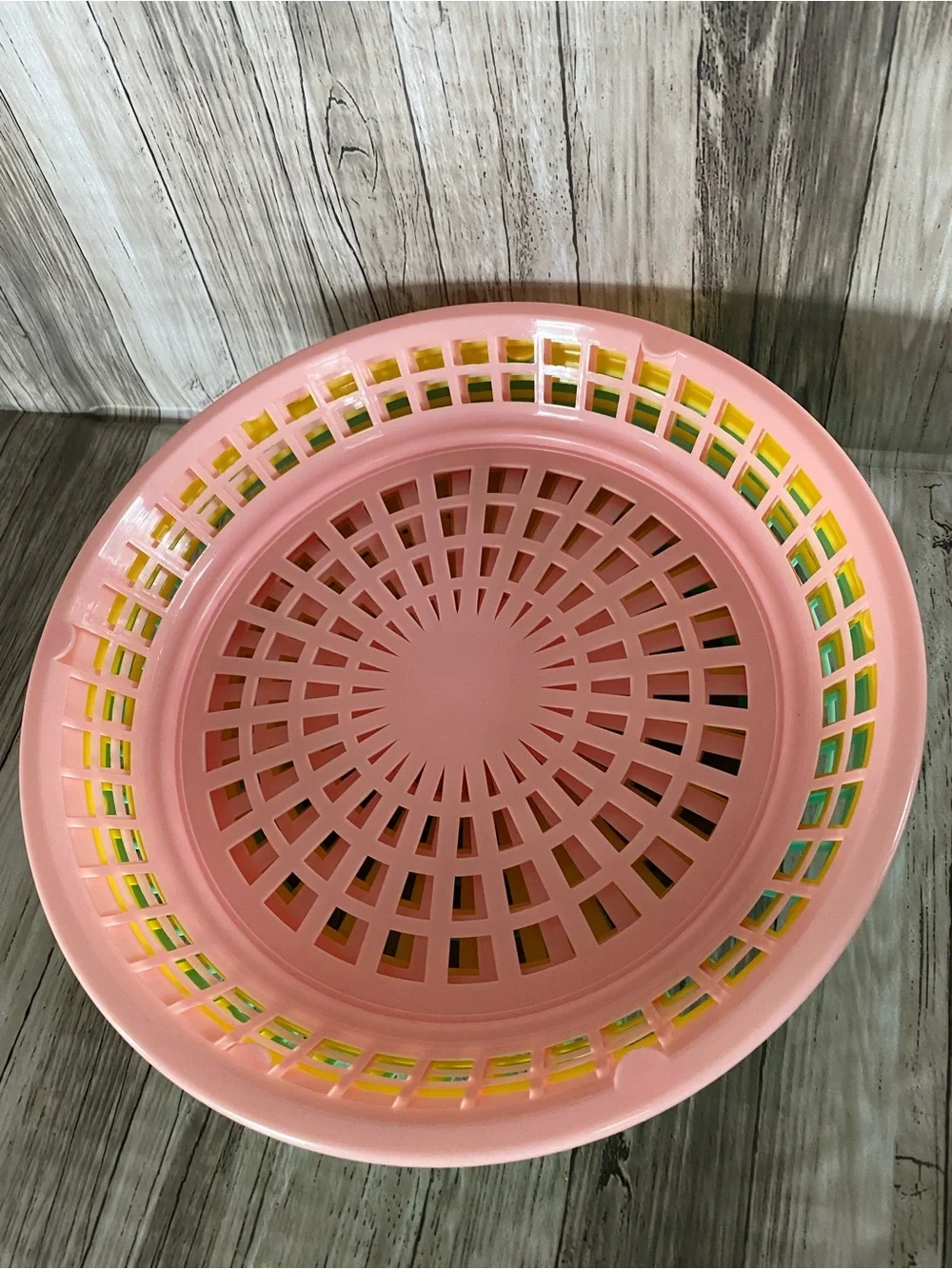 Pastel Picnic Plate Holders Set of 6